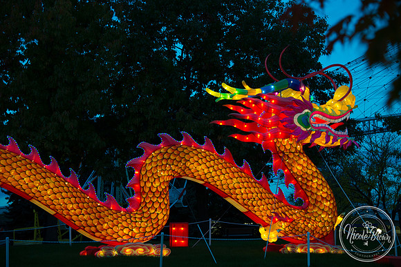 NicoleBrownPhotography_Spokane_Chinese Lantern Festival-3.jpg