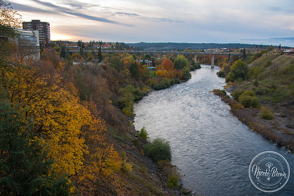 NicoleBrownPhotography_Spokane Falls-3.jpg