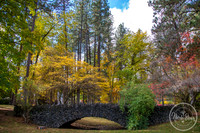 NicoleBrownPhotography_Cannon Hill Park-1.jpg
