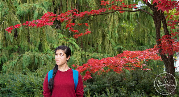 NicoleBrownPhotography_Manito Japanese Garden-2.jpg